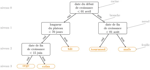 Figure 2.7 – Exemple d’arbre de décision binaire pour la classification des cultures en fonction de différentes informations caractérisant leur cycle phénologique.