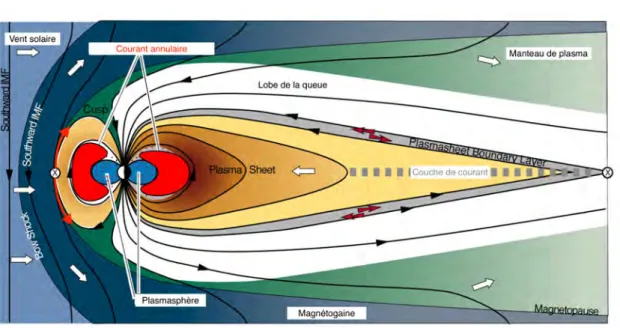 Figure 1.11 – Coupe de la magnétosphère terrestre. Les points de reconnexion magnétiques associés au cycle de Dungey sont représentés par les symboles ⊗