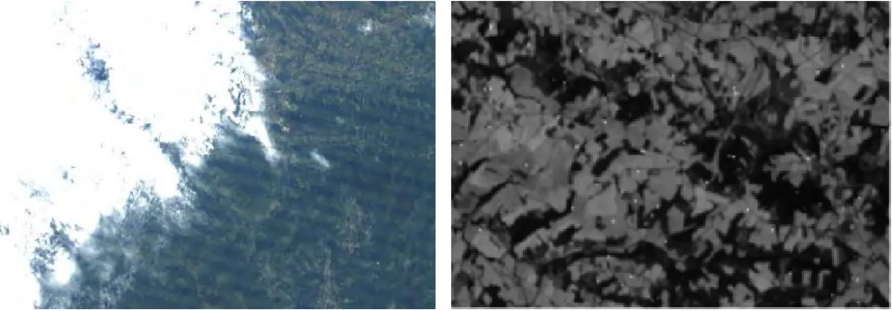 Figure 2.14: Examples of east-west transition between bright and dark areas, producing a lineage effect, and of "salt and pepper" noise