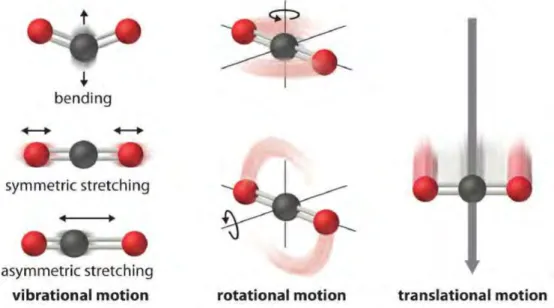 Figure 1.6 – Representation of the different movements a molecule can adopt. Taken from Principles