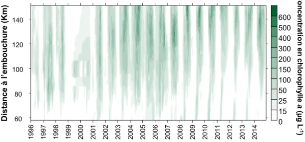 Figure 10 : Concentration de la Chl a  dans l’estuaire de l’Escaut, de la station de Melle (km 151) jusqu’à Grens 