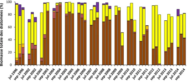 Figure 12 : Contribution à la biomasse phytoplanctonique totale des 5 taxons dominants de diatomées de la  zone d’eau douce de l’estuaire de l’Escaut en fonction des années
