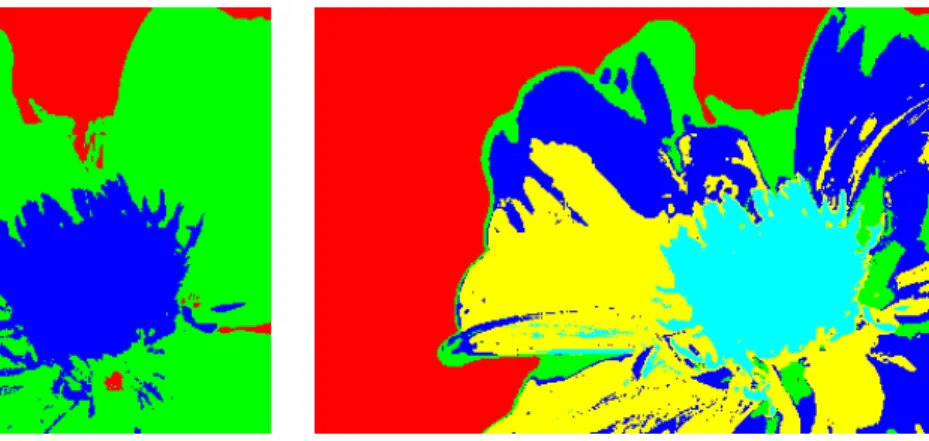 figure I.45 : Image résultante d’une classification non  supervisée de type ICM avec 3 classes