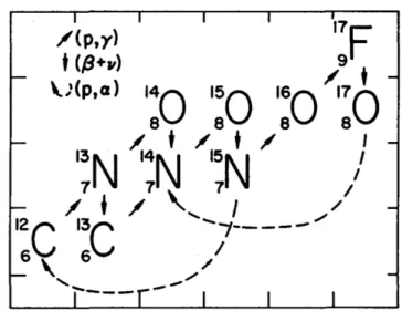 Figure 1.2 – Différents cycles CNO ( Starrfield et al. , 1972 )