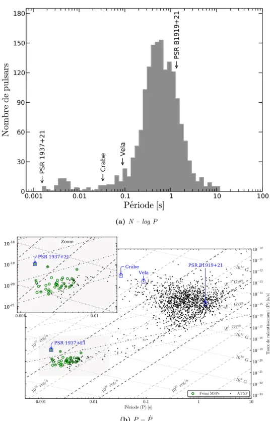 Figure 1.1 – Sur ces deux graphiques, les deux familles de pulsars se distinguent par leur répartition en P et ˙ P .