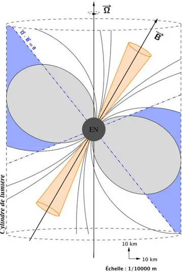 Figure 1.3 – Schéma de la magnétosphère d’un pulsar.