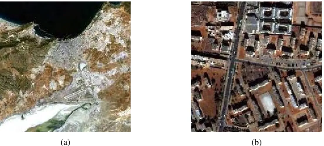 Fig. 1.2. Images de télédétection spatiale optique avec différentes résolutions spatiales
