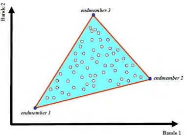 Fig. 2.2. Représentation en deux bandes du nuage de points contenu dans un simplex [47]