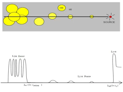 Figure 1.15 – Allure du spectre attendu pour une source située à z s &gt;z reion . L’émis-