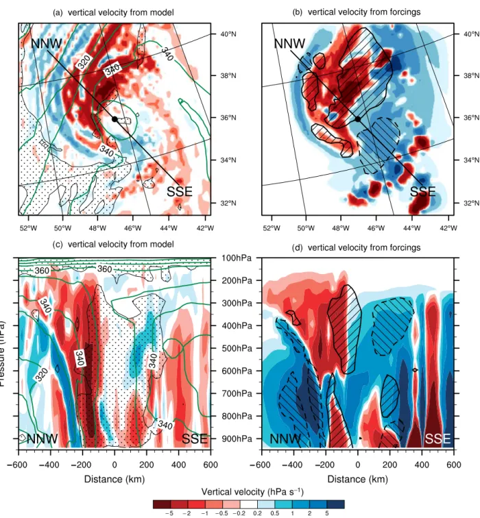 Figure 7. Vertical velocity ω (shading, hPa s −1 ) in the LowRes run at 1800 UTC 23 September 2006 (t + 42): (a) from model fields at 400 hPa, with 250 hPa potential vorticity (dotted surface at 1.5 PVU) and 950 hPa θ E (contours every 10 K); (b) from dynamical and diabatic forcings at 400 hPa and from