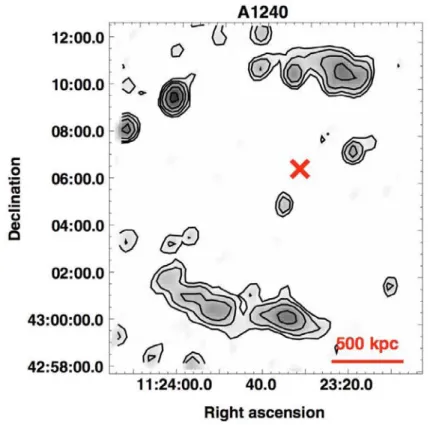 Figure 2.9 – Émission radio de l’amas A1240 à 1,4 GHz. La croix rouge représente le centre de l’amas ( Bonafede et al