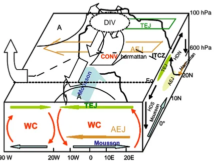 Figure 1.3 : Eléments de la circulation atmosphérique (AEJ, TEJ, cellules de Hadley (HD) et  de Walker (WC); ITCZ, mousson, harmattan) sur le continent africain (Livre Blanc AMMA, 