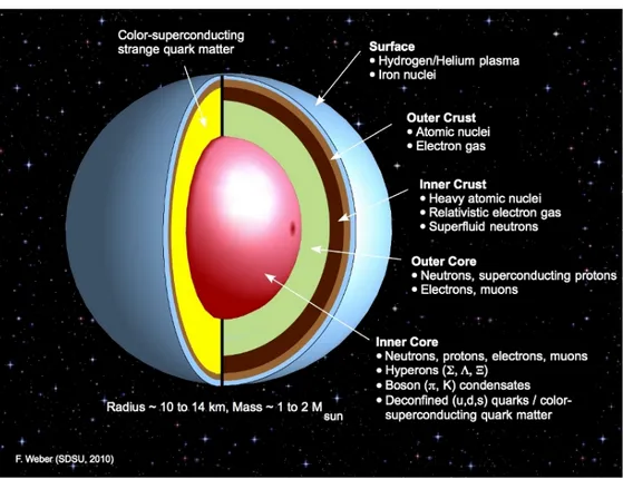 Figure I.1 – Représentation de l’intérieur d’une étoile à neutrons, des principales régions et de leur composition