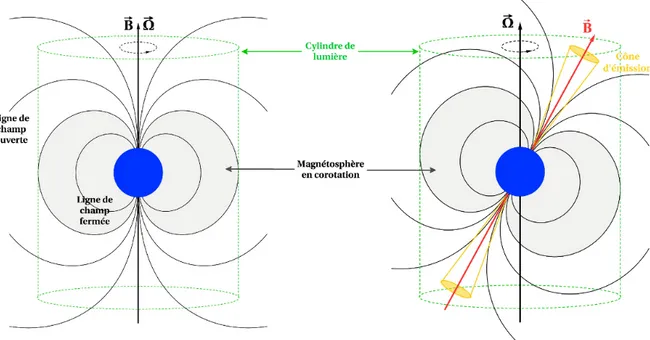 Figure I.2 – Représentation simplifiée de la magnétosphère autour d’un pulsar. Le cas considéré par Goldreich &amp; Julian ( 1969 ) d’axes de rotation et magnétique alignés (gauche), ainsi que celui d’un axe magnétique incliné (droite) sont représentés.