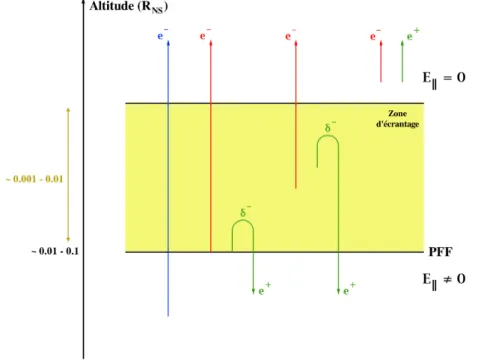 Figure II.3 – Représentation du phénomène d’écrantage dans un accélérateur de type SCLF (~ Ω · ~ B &gt; 0)