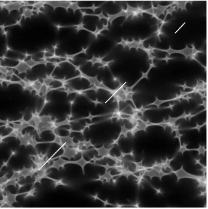 Fig. 3.6: Exemple de motifs d’amplification g´en´er´es par effets de microlentilles (Wambsganss et al