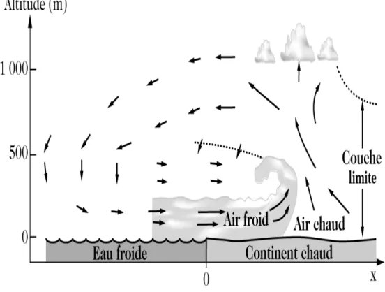 Figure 2.1  Coupe verticale schématique d'une circulation de brise de mer en journée d'après Stull [1988]