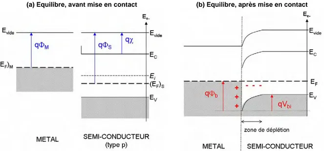 Figure 2.9 – Diagramme des niveaux d'énergie du semi-conducteur (type p) à l’équilibre  thermodynamique : (a) avant mise en contact ; (b) après avoir établi le contact métal/semi-conducteur