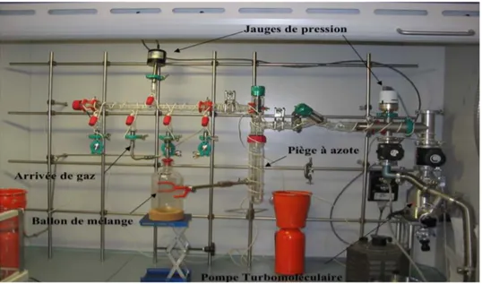 Figure 3.3: Rampe de gaz pour effectuer des mélanges et purifier les liquides. 