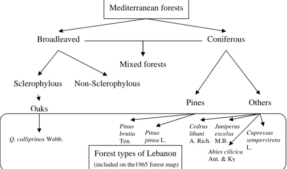 Figure 6. Forest types of Lebanon following the 1965 forest map; relation to  Mediterranean forests (prepared in this manuscript)