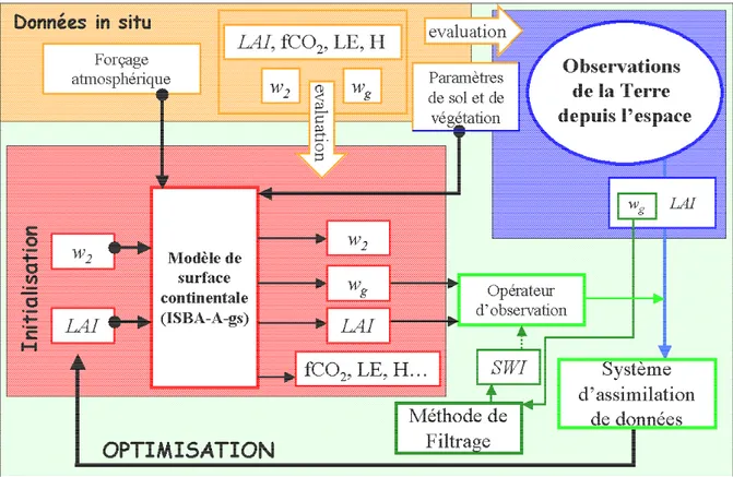 Figure  4 :  Illustration  des  différents  volets  abordés  dans  ce  travail  de  thèse,  la  modélisation  (rectangle  rouge), la télédétection (carré bleu) et le lien entre ces deux thèmatiques (rectangle vert)