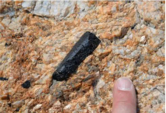 Fig. I-1 : Photo d’une tourmaline pluri-centimétriques (~5 cm) au sein d’une pegmatite