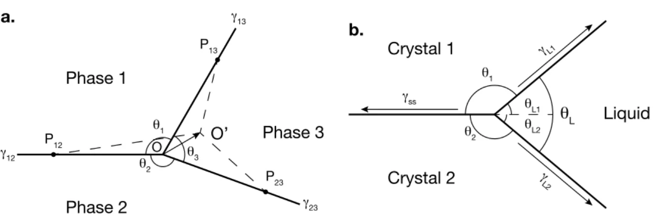Figure 1.7 – Sketch showing the 2D organisation of a triple junction in a three-phase system (a) and in