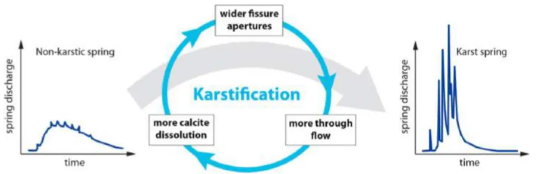 Figure 1.3 – Description schématique du processus de karstification et de son influence sur le comportement hydrodynamique [Hartmann et al., 2014]