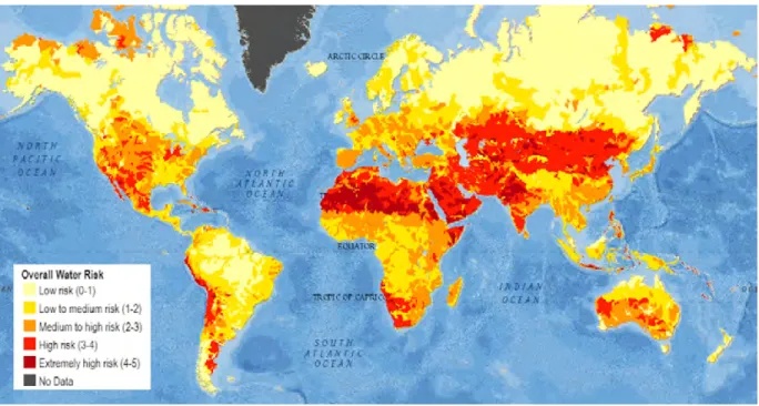 Figure 1.3: The global map of water risk index considering both water stress and flood risk (Gassert et al., 2015).