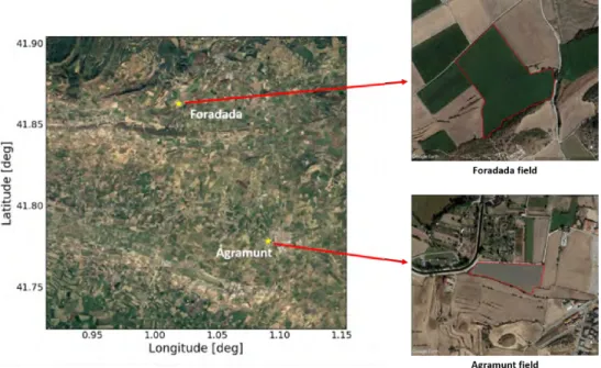 Figure 3.4: Demonstration fields (yellow stars) within the 20 km by 20 km study area: Foradada and Agramunt.
