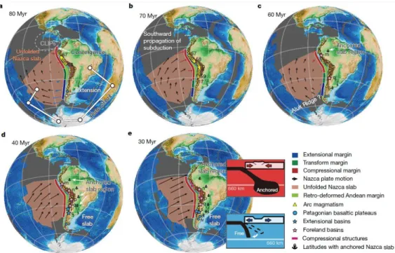Figure I-4 : Reconstitution du partitionnement de la tectonique régionale le long de la marge  occidentale de la Plaque Sud-Américaine, en réponse à l’encrage du slab plongeant sous le  bassin  Amazonien,  pendant  la  migration  de  la  Plaque  Nazca  ver