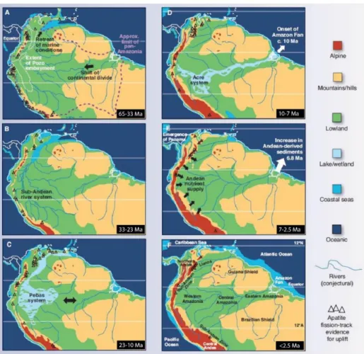 Figure I-9 : Cartes paléogéographiques et paléo-environnementales du Bassin Amazonien au  Cénozoïque (Hoorn et al., 2010)