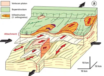 Figure 2.17 : Bloc diagramme 3D représentant la déformation tardi-varisque D3 dans la croûte pyrénéenne  de la zone axiale (Cochelin et al., 2017)