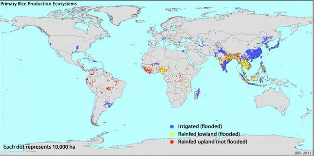 Figure 4. Map of the main rice production ecosystems. Source: IRRI. 