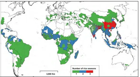 Figure 5. Map of cropping density or number of rice seasons per year (Laborte et al., 2017)