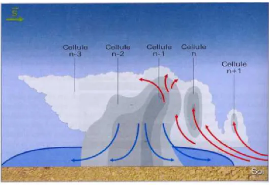 Figure 1.5 : Schéma conceptuel d’un orage multicellulaire.  La cellule n-1 est en phase mature