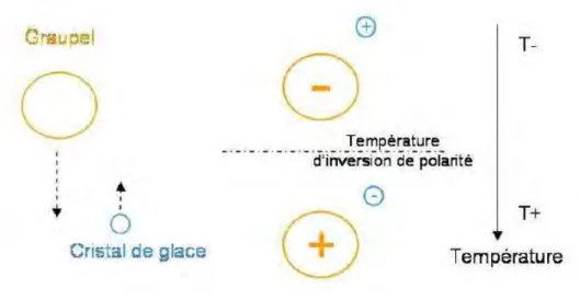Figure  1.9  :  Schéma  du  mécanisme  inductif  d’échange  de  charges  par  collision  (Tiré  de  MacGorman et Rust, 1998)