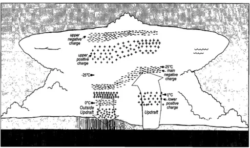 Figure  1.12  :  représentation  schématique  de  la  structure  de  charges  électriques  dans  la  région  convective d’un orage (Tiré de Stolzenburg et al