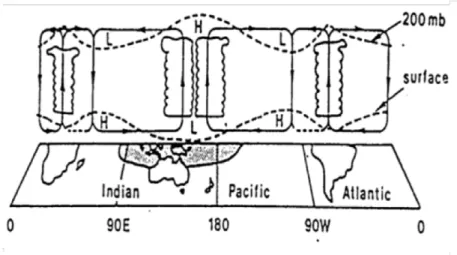 Figure 1.6: Circulation de Walker dans un plan équatorial-vertical. La hauteur du géopo- géopo-tentiel à la surface et à 200 mb (environ 12 km) sont indiqués en pointillés