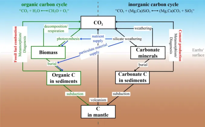 Figure 1-1.  A model of the long-term carbon cycle modified from Berner (2003). The cycle can be subdivided 