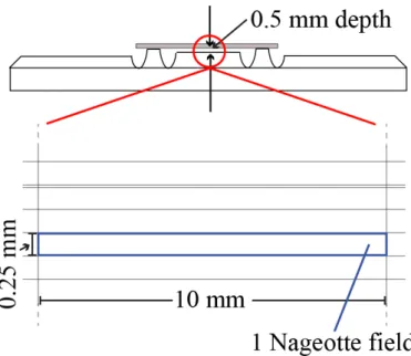 Figure 2-2.  The principle of cell counting using a Nageotte counting chamber. An aliquot of the sample (~100 µl) 