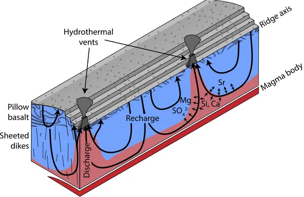 Figure 1.2 – Schematic diagram of a hydrothermal system at the axis of intermediate-