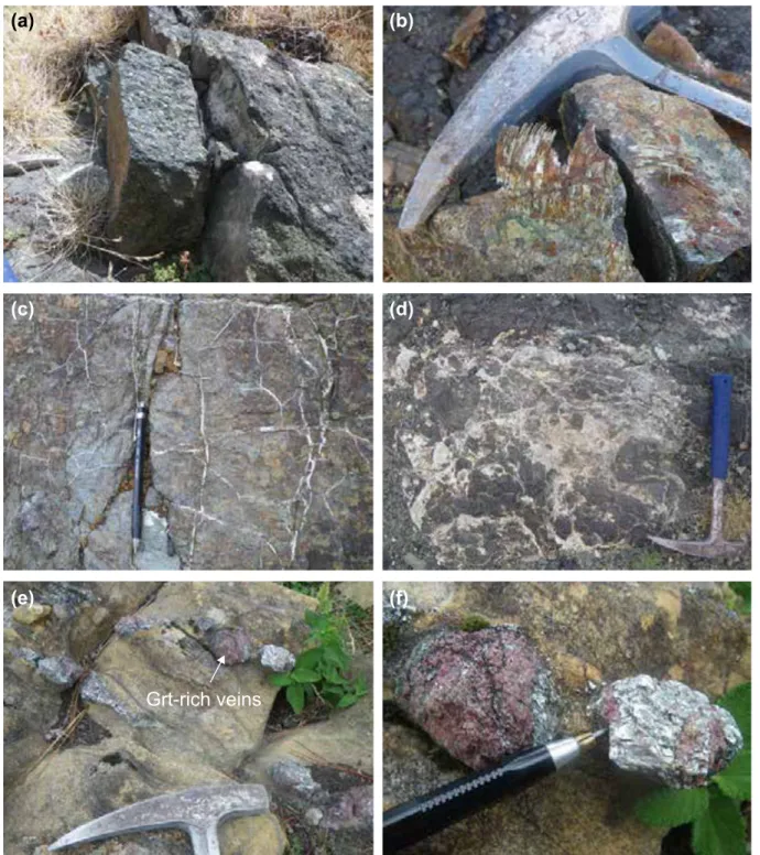 Fig. III. 3. Field pictures illustrating late features related to the Trans-Herbeira Fault (THF): a