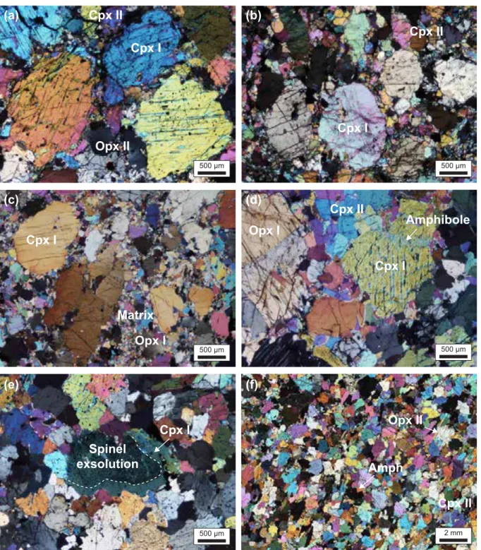 Fig. III. 10. Photomicrographs illustrating the textural relationships of cpx in cross-polarized light: a
