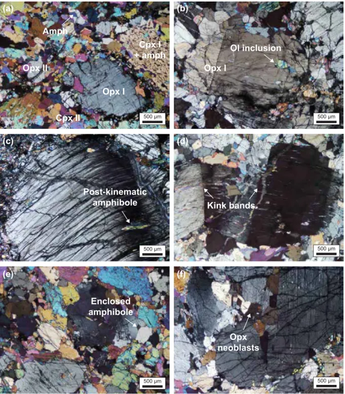 Fig. III. 11. Photomicrographs illustrating the textural relationships of opx in cross-polarized light: a