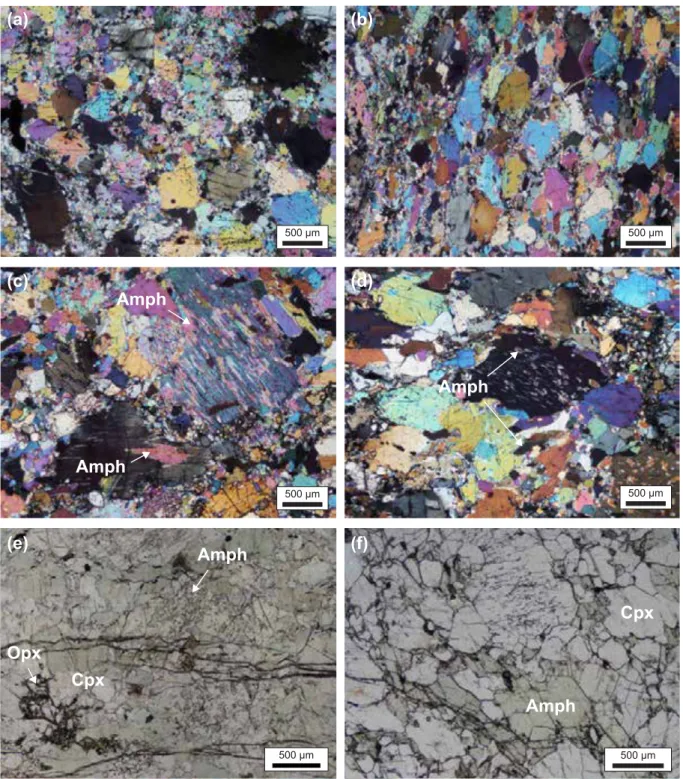 Fig. III. 14. Photomicrographs illustrating the textural overprint of amphibole replacement in cross-polarized 