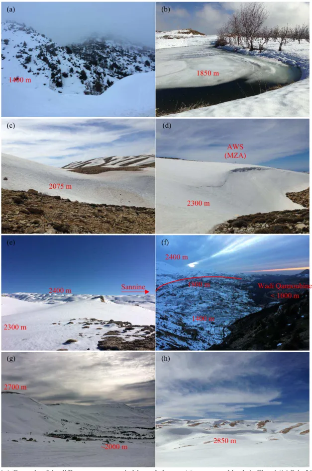 Fig. 1.4. Example of the different snow cover in Mount-Lebanon: (a) sparse scrublands in Ehmej (16 Feb, 2015);  (b) mountain ponds and tree crops in Laqlouq (20 Feb, 2016); (c)  rugged topography in Mzaar (1800- 2300 m  a.s.l.) (2 Apr, 2015); (d) Dolines a