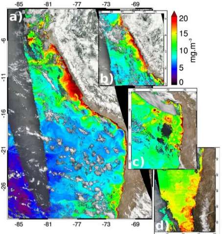 Figure 1.7: Chlorophyll-a concentration in the Humboldt currents system, illustrating the
