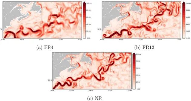Figure 3.7 – Norme des vitesses en cm.s −1 dans le Gulf Stream ` a l’´ etat initial des simulations (7 janvier 2009).