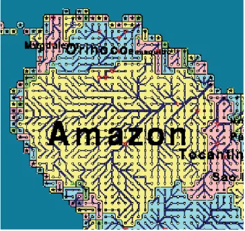 Figure 2.5  –  Réseau  de  routage  du  modèle  TRIP à  1 ◦  × 1 ◦   sur  le  bassin  de  l’Amazone  (image 